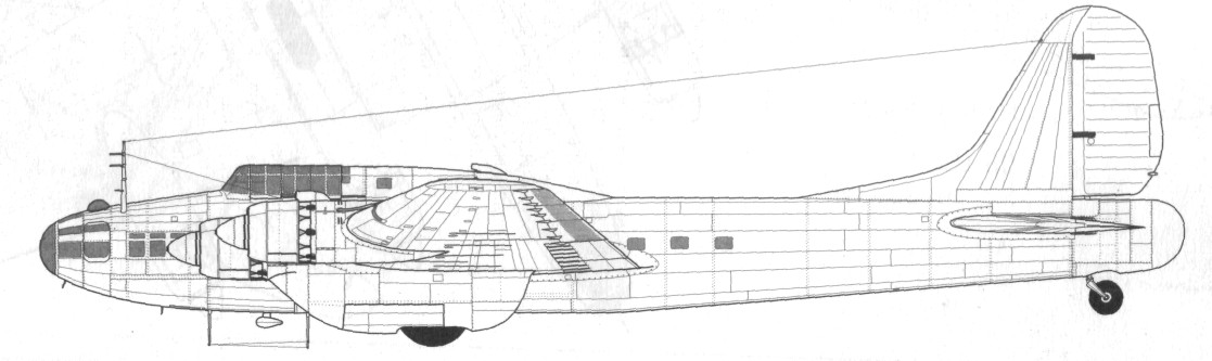 TB-7Pe-8107.jpg