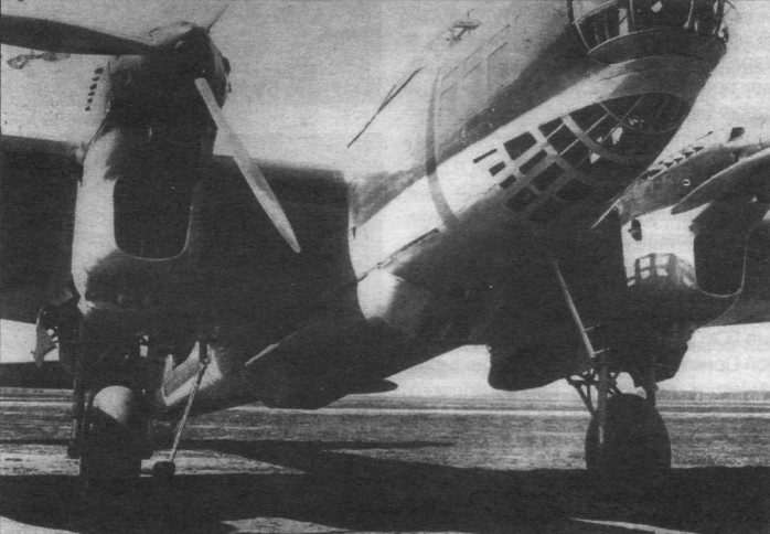 TB-7Pe-8108.jpg