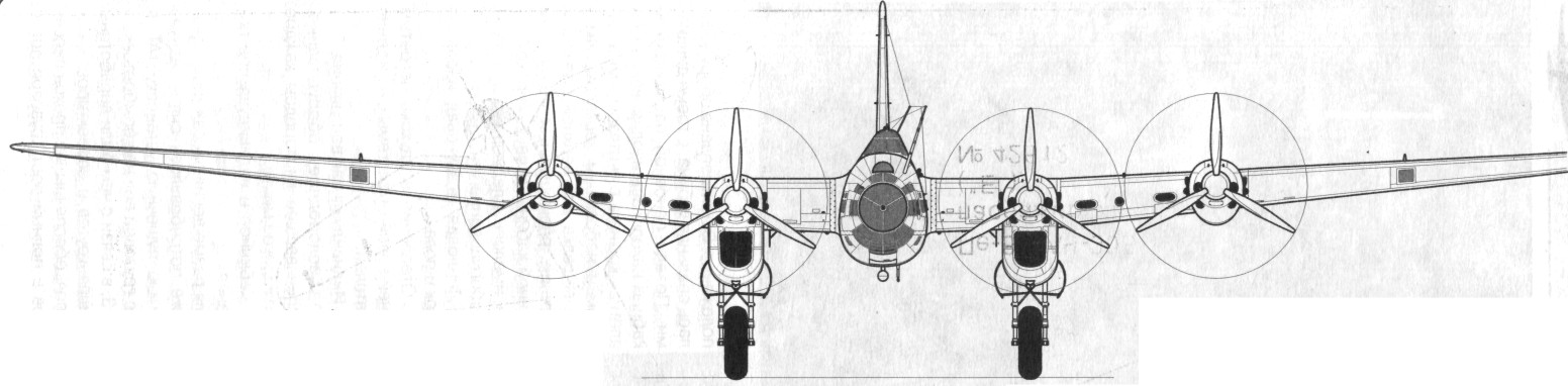 TB-7Pe-8116.jpg