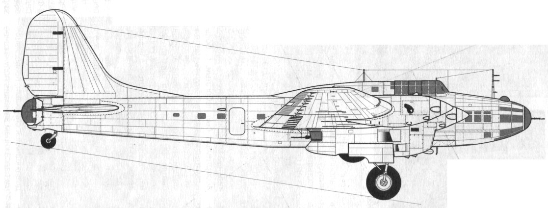 TB-7Pe-8117.jpg