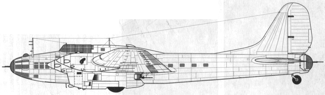 TB-7Pe-8118.jpg