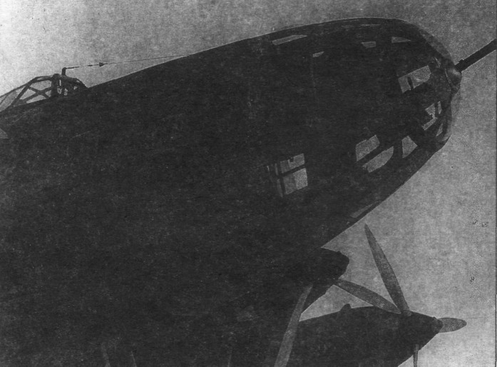 TB-7Pe-8120.jpg
