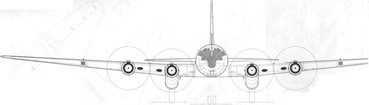TB-7Pe-8125.jpg