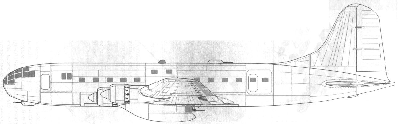 TB-7Pe-8127.jpg
