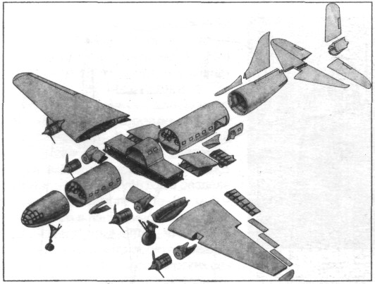 TB-7Pe-8129.jpg