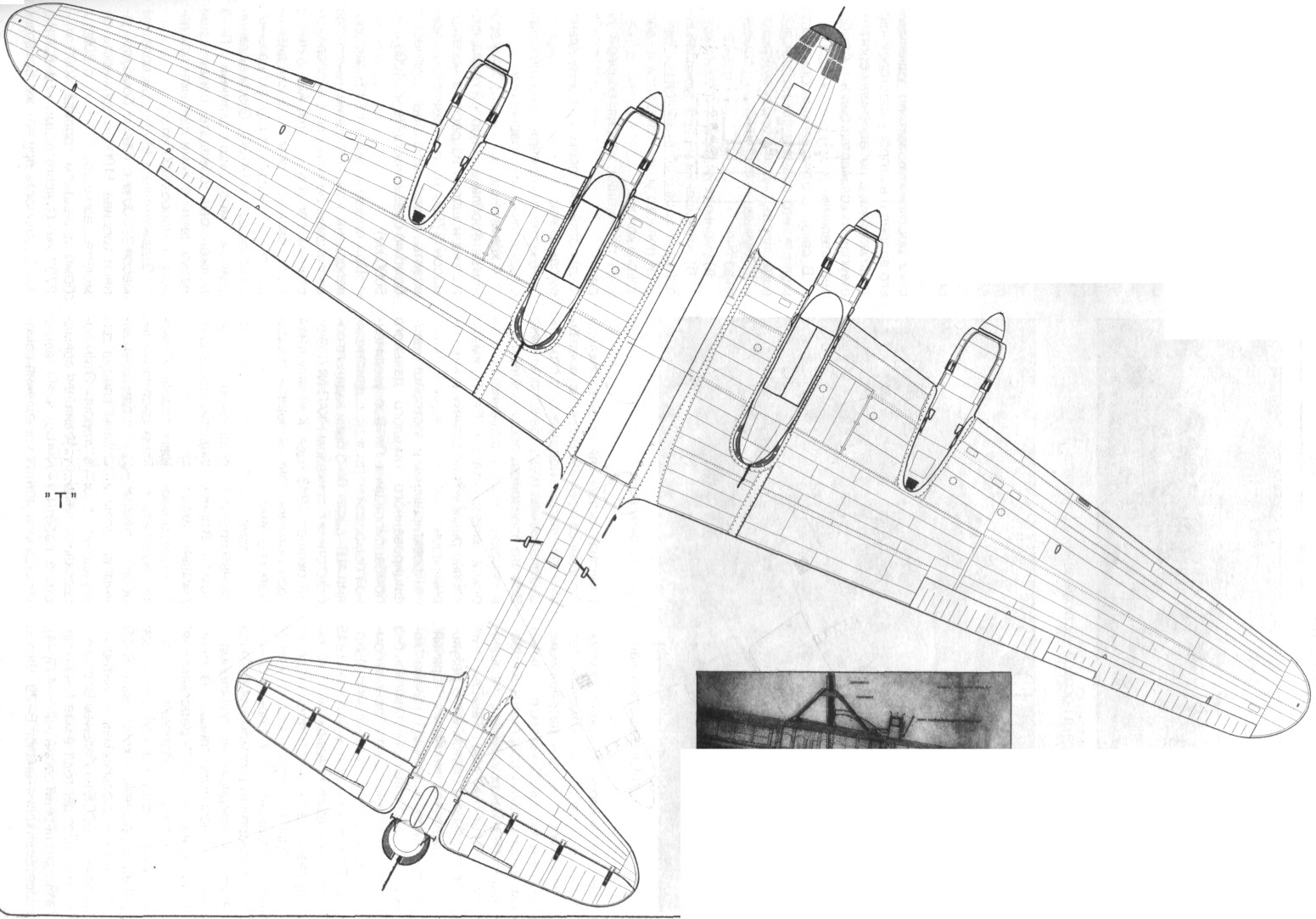 TB-7Pe-8139.jpg
