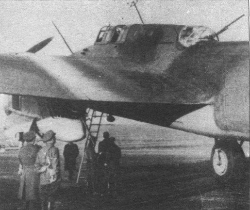 TB-7Pe-8148.jpg