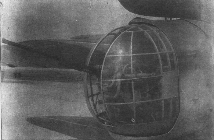 TB-7Pe-8149.jpg