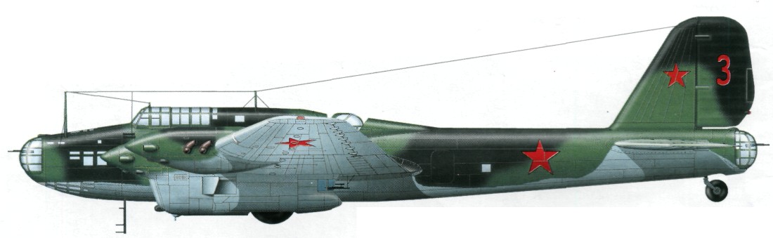 TB-7Pe-8159.jpg