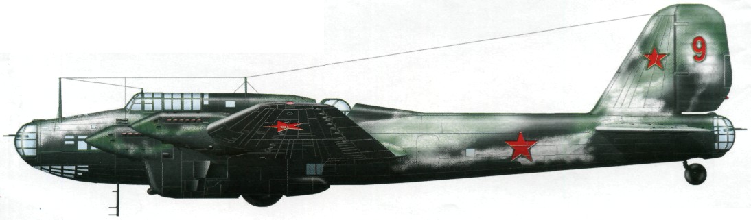 TB-7Pe-8160.jpg