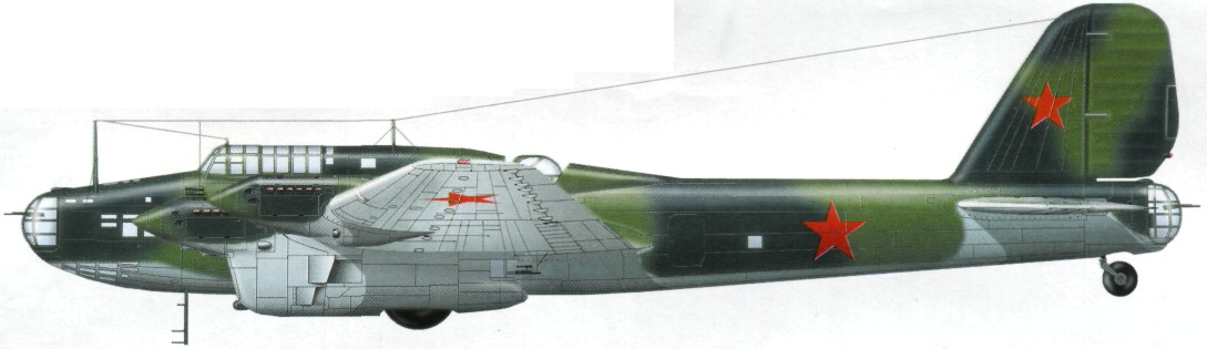 TB-7Pe-8161.jpg