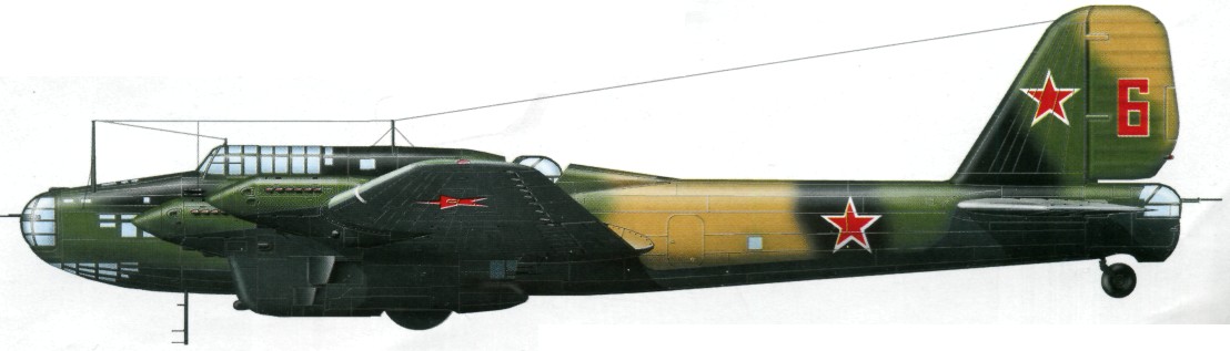 TB-7Pe-8165.jpg