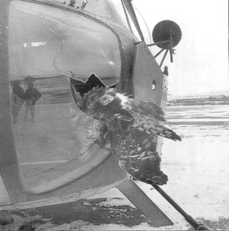 45ovp026.jpg