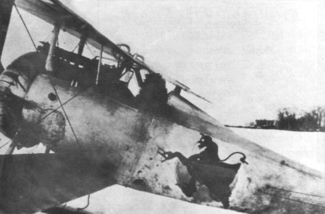 899gshap004.jpg