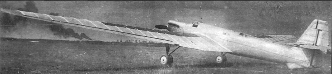 ANT25grp012.jpg