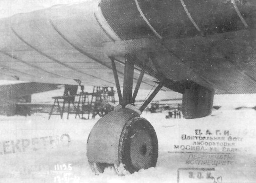 ANT25grp014.jpg