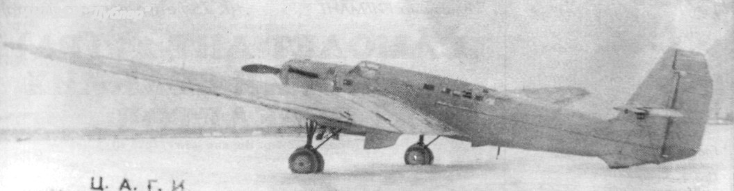 ANT25grp037.jpg
