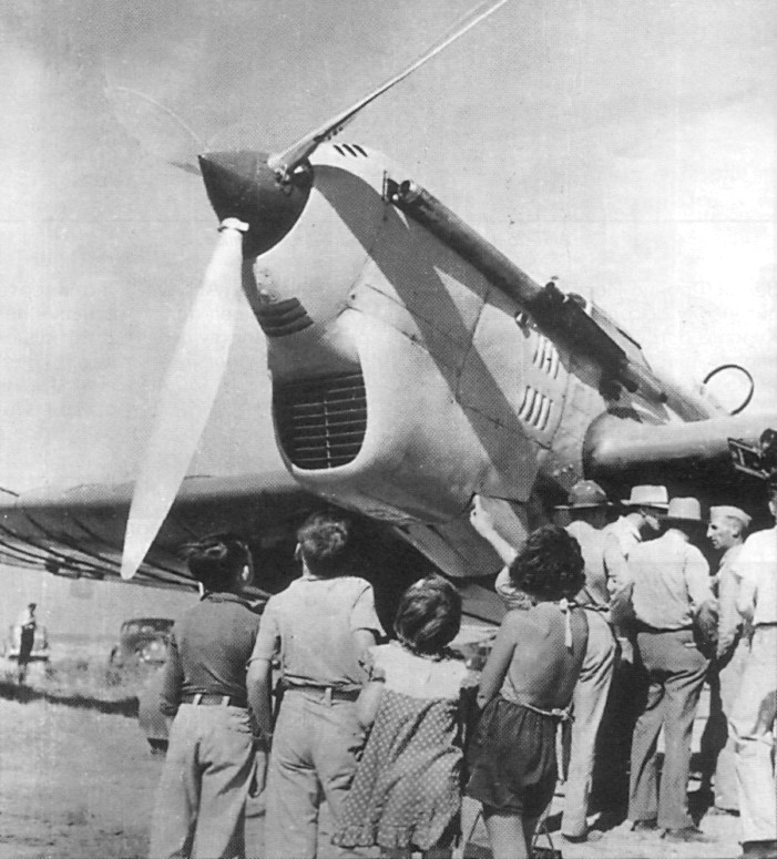 ANT25grp094.jpg