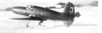 Dates07021.jpg