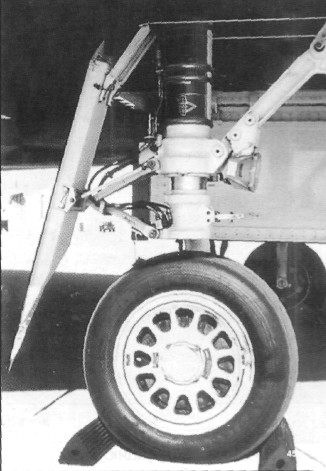 F117046.jpg