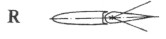 HaTiphun059.jpg
