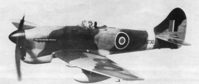 Hatempes005.jpg