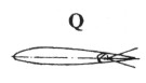 Hatempes058.jpg
