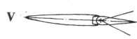 Hatempes068.jpg