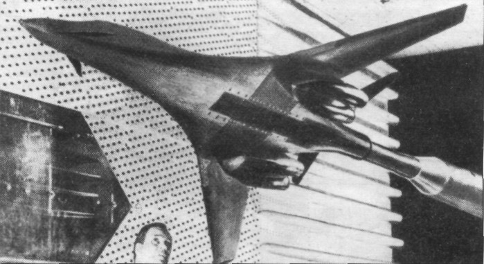 Lr_Tu160071.jpg