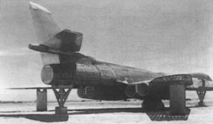 Lr_Tu160078.jpg