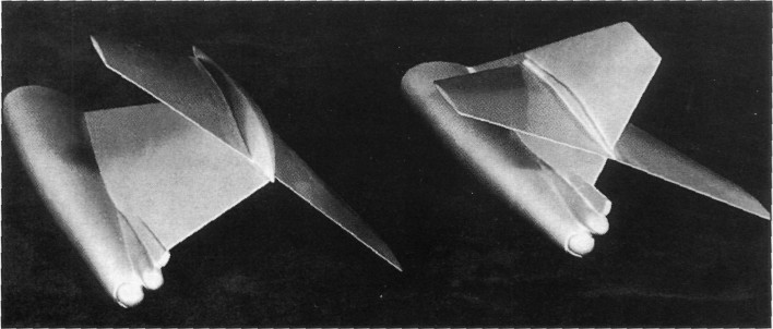 Lr_Tu160131.jpg