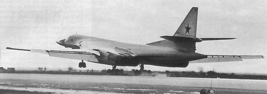 Lr_Tu160175.jpg