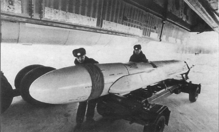 Lr_Tu160176.jpg