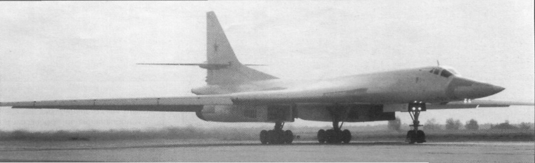 Lr_Tu160181.jpg
