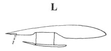 Spitfire180.jpg