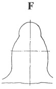 Spitfire186.jpg