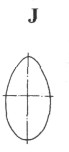 Spitfire191.jpg