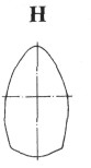 Spitfire192.jpg