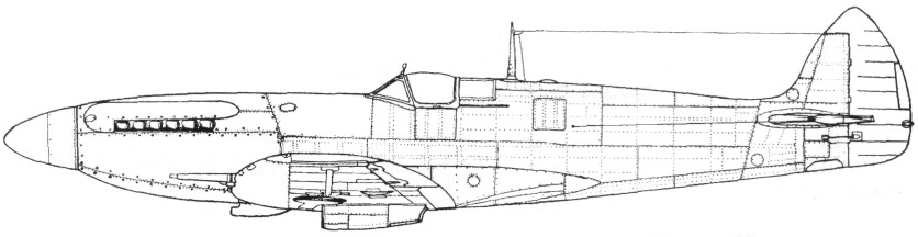 Spitfire289.jpg