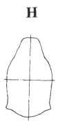 Spitfire314.jpg
