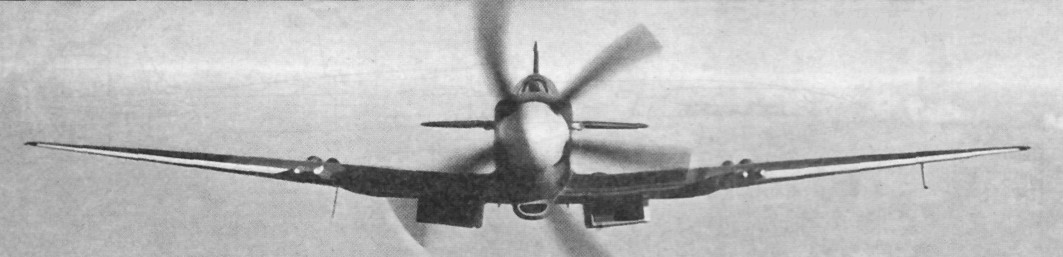 Spitfire545.jpg