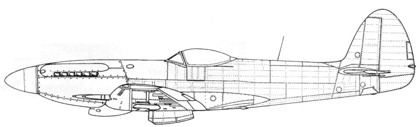 Spitfire556.jpg