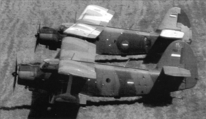 VVSSerbi015.jpg