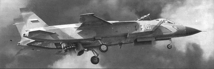 Yak100Y003.jpg