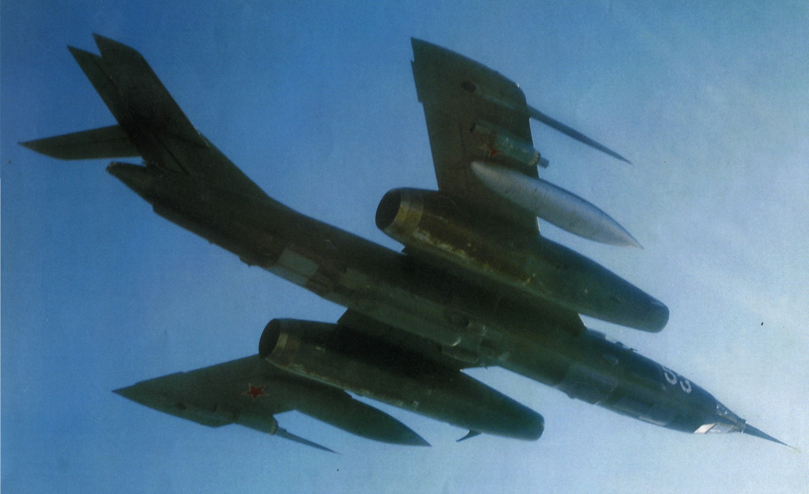 Yak100Y017.jpg