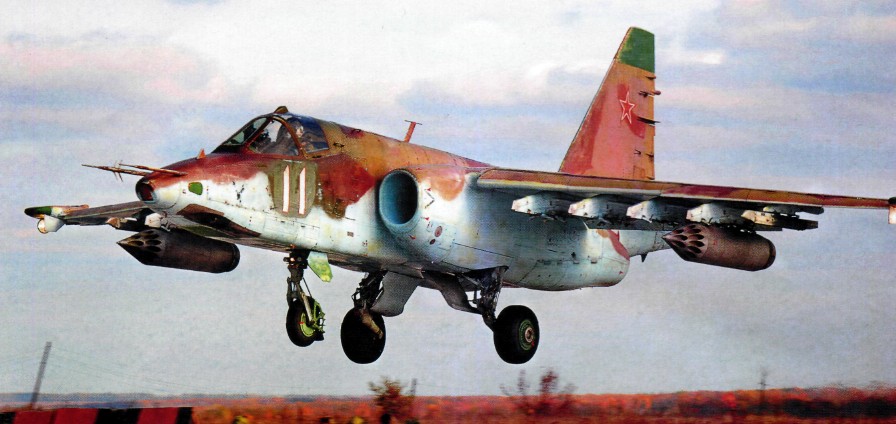 AviaFt09007.jpg
