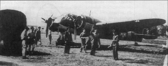 Blenheim017.jpg