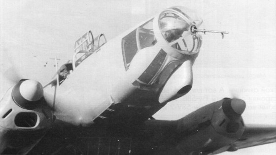 FW-58010.jpg