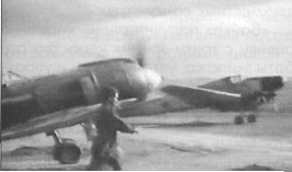 FW-58033.jpg