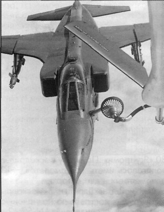 Jaguar014.jpg